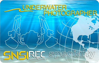 Brevetto Underwater Photography